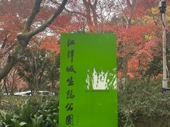 -西湖风景区-江洋畈生态公园