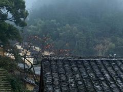 -杨家堂村