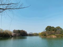 -苏州太湖国家湿地公园