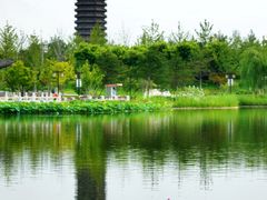 -西海子公园