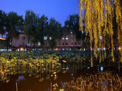 -四川大学(望江校区)