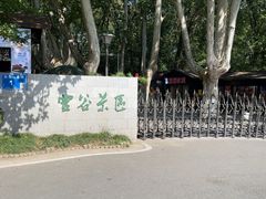 -灵谷景区
