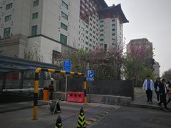 -王府半岛酒店