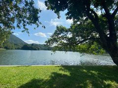 -深圳仙湖植物园