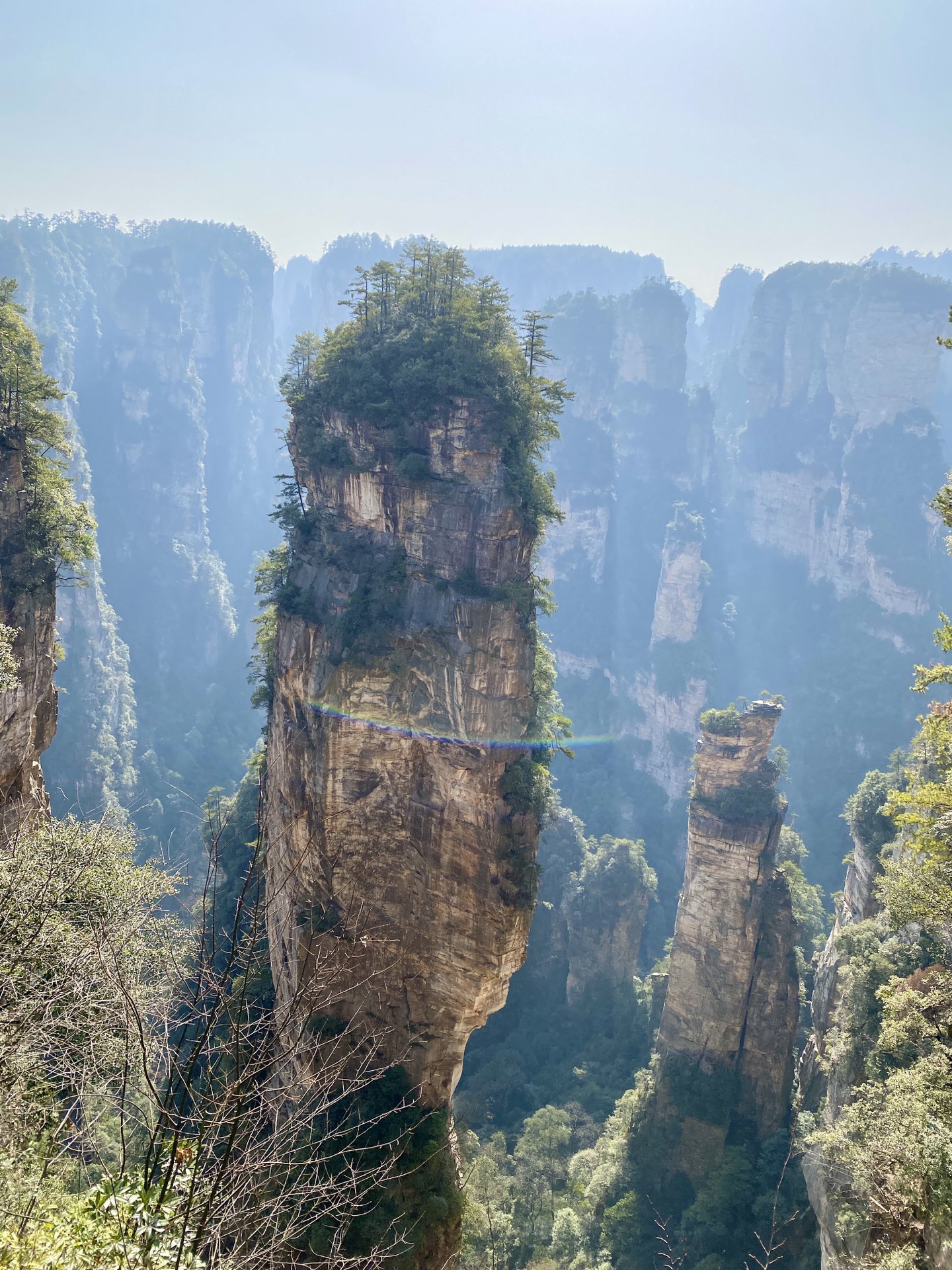 天门山森林公园图片图片