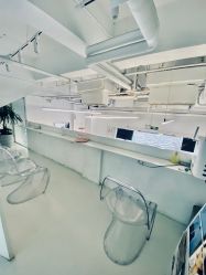 -I+造型烫发染发