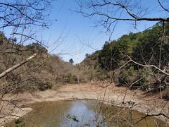 -青龙山国家森林公园