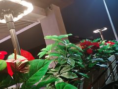 -城南老友羊蝎子火锅(花乡奥莱店)