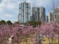 -白塘生态植物园