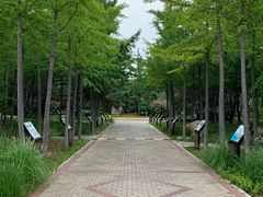 -北戴河东海水浴场