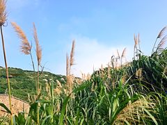 -东极岛景区