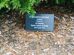 -墨尔本皇家植物园