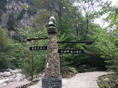 -青峰峡国家森林公园