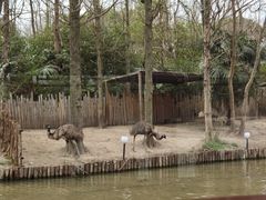 -上海野生动物园