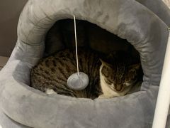 -ID.PHOTO照相馆(嘉里企业中心店)