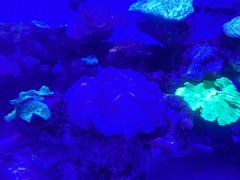 -上和臻品中国菜(花园街店)