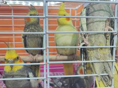 -三旗百汇商品城