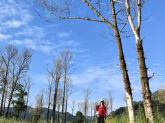 -塞罕坝国家级自然保护区