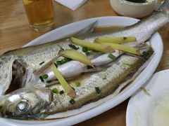 清蒸白水鱼-阿东农家菜(新场古镇下塘街店)