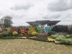 -上海长兴岛郊野公园