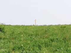 -野三坡百草畔景区