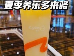 -CoCo都可(宁晋天一广场店)