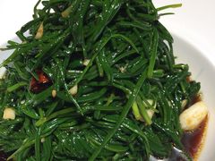 -老阿妈蒙古村·蒙古包·草原文化·歌舞表演(老君堂店)