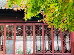 -上海醉白池公园