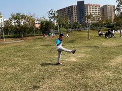 -宝安西湾红树林湿地公园