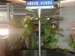 -湊湊火锅·茶憩(皇姑万象汇店)