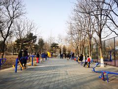 -回龙观体育文化公园