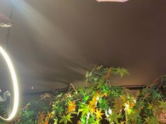 -望庐说·本地菜馆