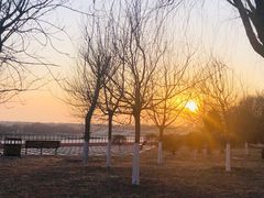 -9527星耀烧烤音乐酒馆