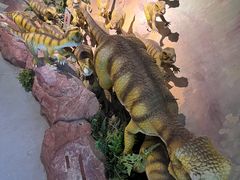 -安徽省地质博物馆