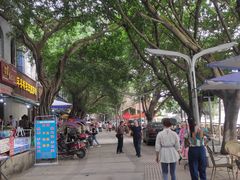 -平安桥张氏肥肠粉