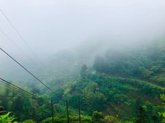 -杨家堂村