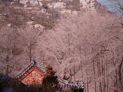 -青岛崂山太清宫