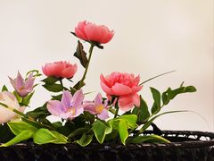 -今日陶艺(富力广场店)