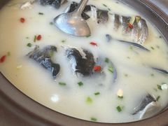 -浔味·山屿湖·正宗淳牌全鱼宴老字号