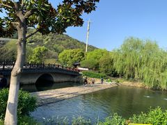 -树山生态村