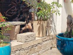 -月栖华明-云间草堂清茶馆(泗泾古镇店)