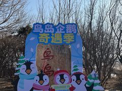 -沈阳鸟岛