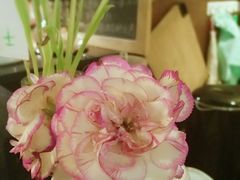 -看书吧(体育东横路店)