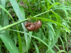 -碓臼峪自然风景区