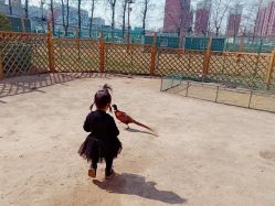 -萌宠亲子动物乐园(槐房万达店)