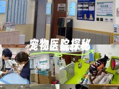 -美联众合动物医院·24h转诊中心
