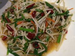 醋溜绿豆芽-楼兰古丽·新疆拌面·清真(华阳城店)