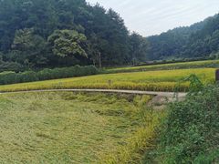 -韶山毛泽东同志故居