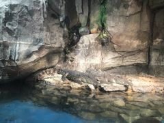 -石家庄海洋公园