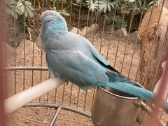 -南宫五洲植物乐园